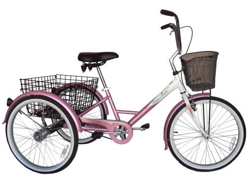 Adult Tricycle