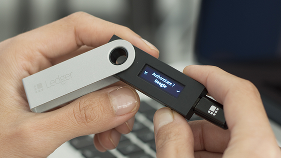 Ledger wallet